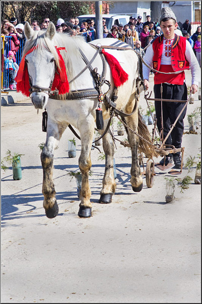 serbanvornicu_t2013_52