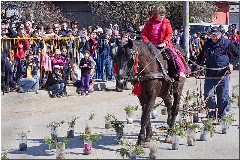 serbanvornicu_t2013_53