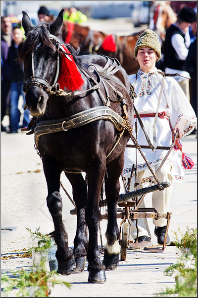 serbanvornicu_t2013_54