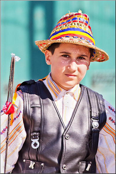 serbanvornicu_t2013_55