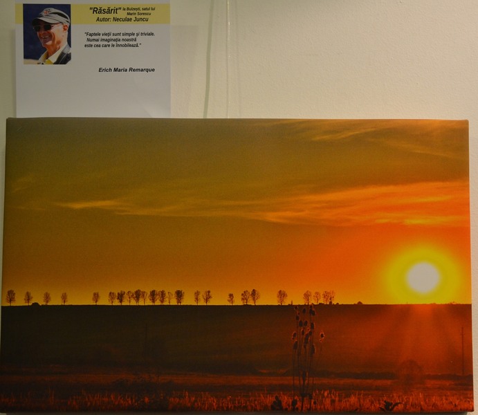 n-juncu-rasarit-la-bulzesti