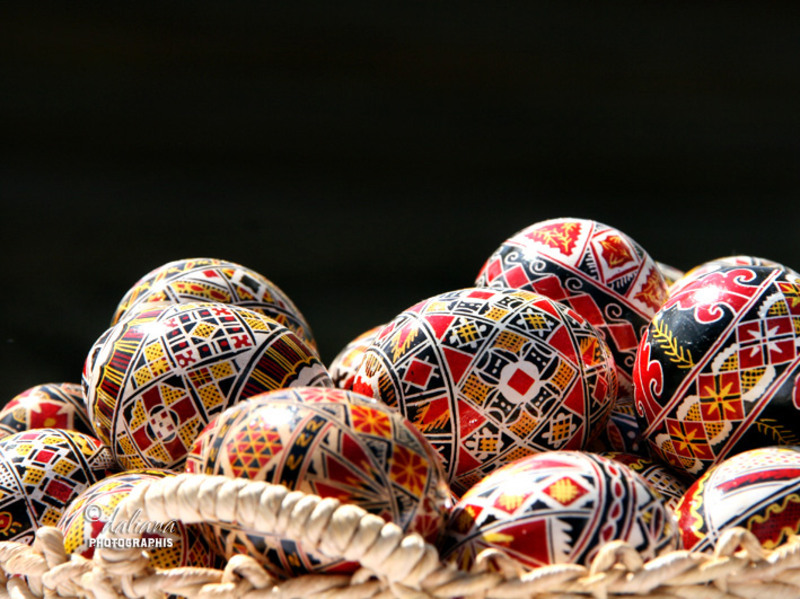 demonstratii-de-incondeiat-oua