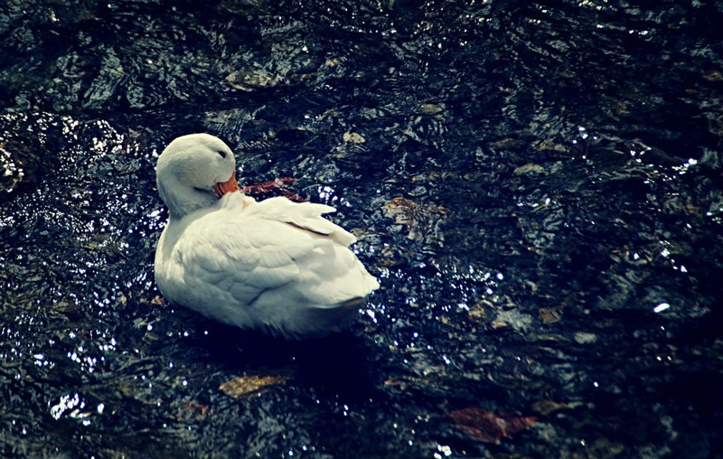 417868_260423140768137_1012032644_n