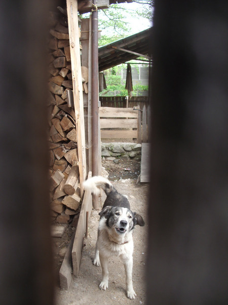 8692281538_afbd0758f2_b