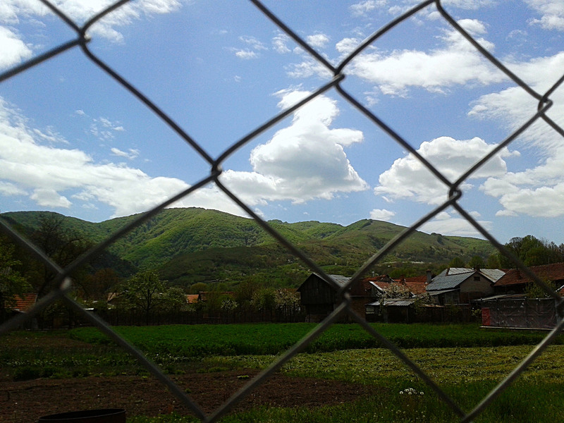 8695195526_c06b9bafbe_b