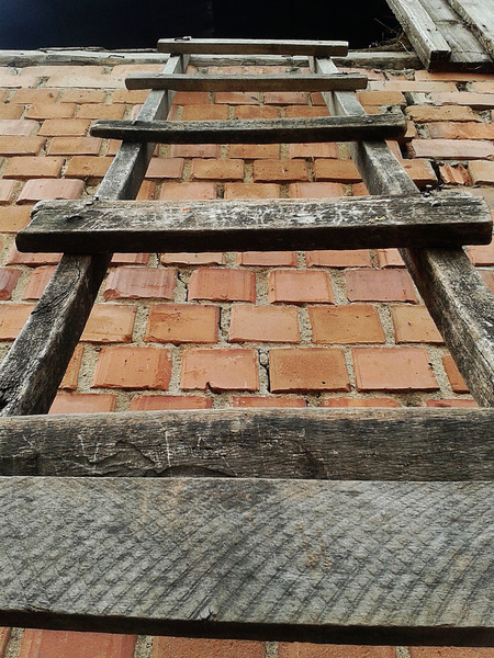 8695218572_6ce77dd87f_b