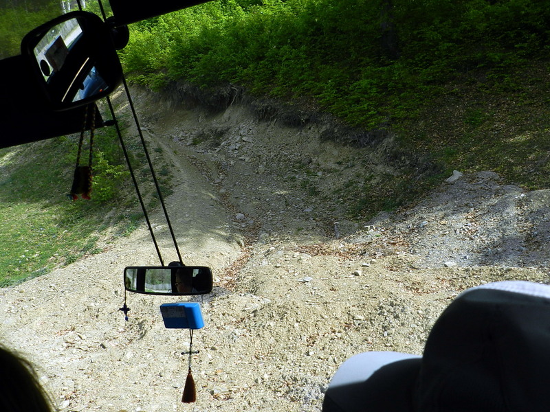 Spre padurea de liliac