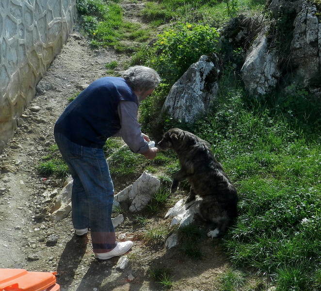 MulSarut mana pentru masa
