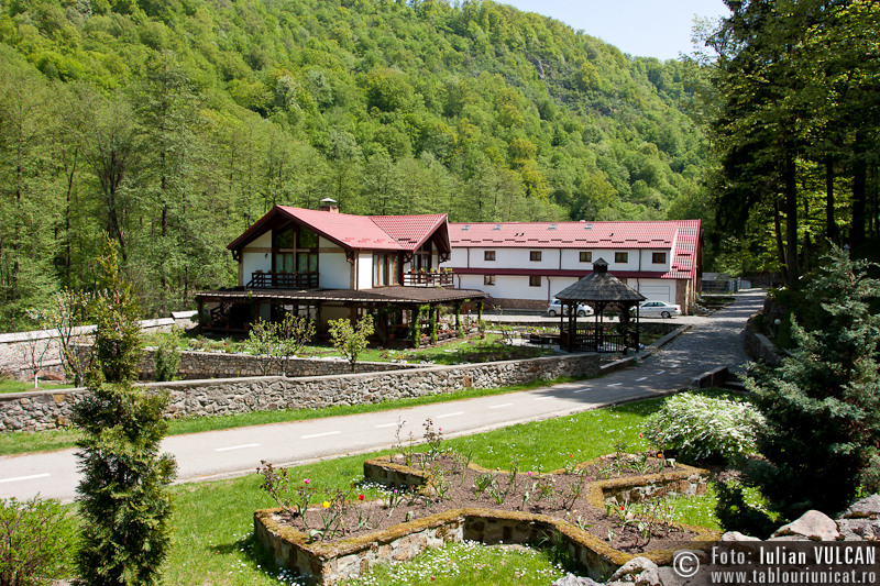 excursie_herculane-1