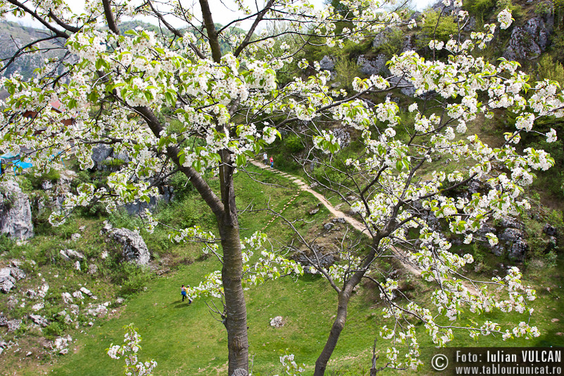 excursie_herculane-16