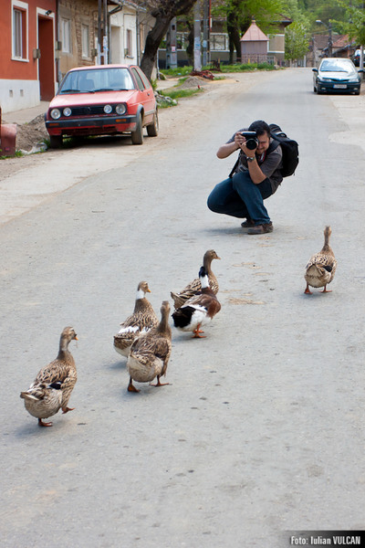 excursie_herculane-17