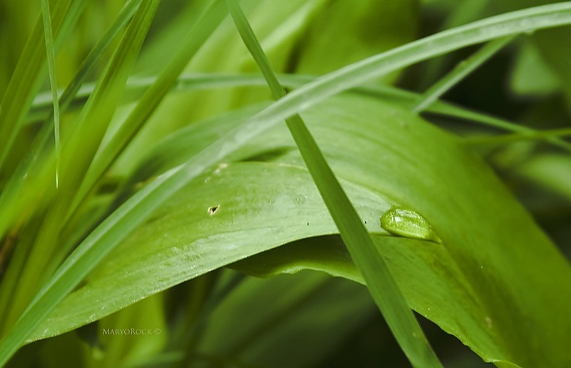 2010_04_24_img_00976