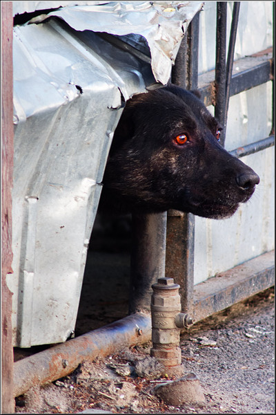 labirintulbuc_vornicu_13