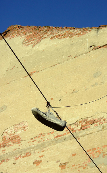 8731074748_18478a0b10_c