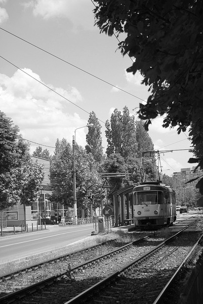 8825969158_74e44e19df_c