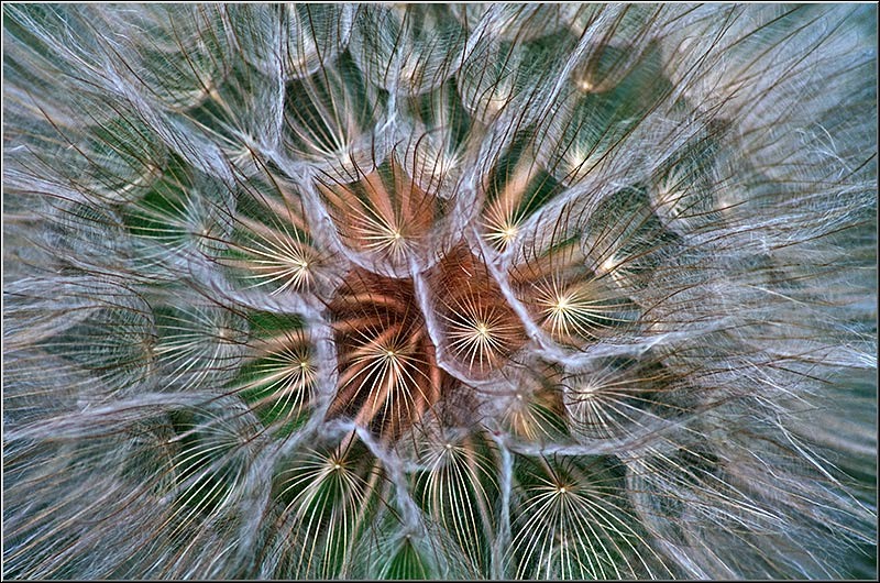 strliniei_svornicu_01