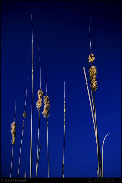 andrei_vocurek_kerucov_lacul_vacaresti_10