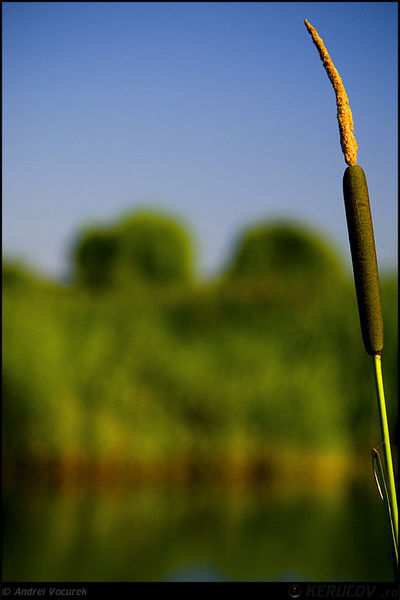 andrei_vocurek_kerucov_lacul_vacaresti_14