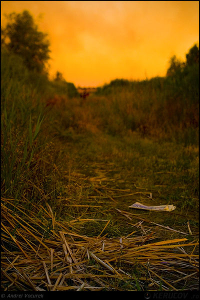 andrei_vocurek_kerucov_lacul_vacaresti_19