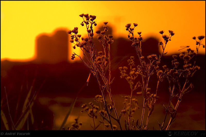 andrei_vocurek_kerucov_lacul_vacaresti_21