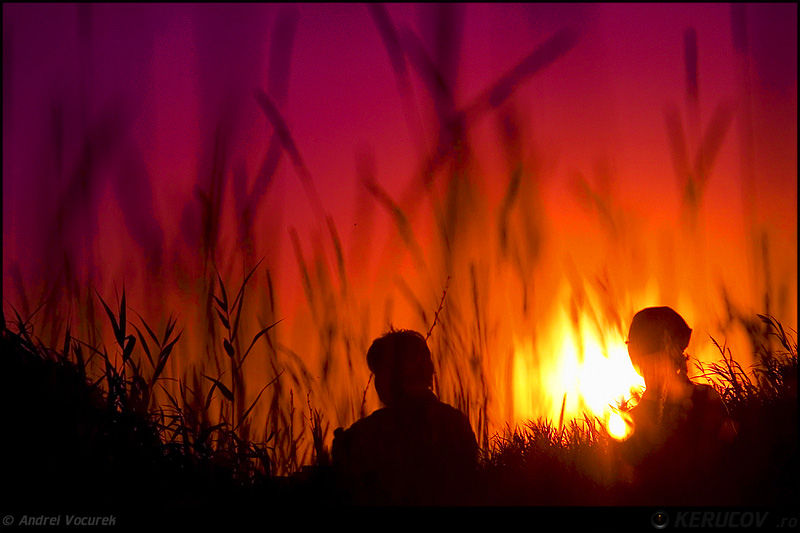 andrei_vocurek_kerucov_lacul_vacaresti_23