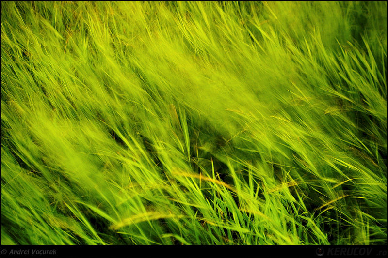 andrei_vocurek_kerucov_lacul_vacaresti_24