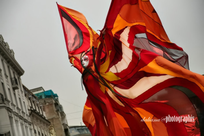 photographis-daliana-pacuraru-butterfly