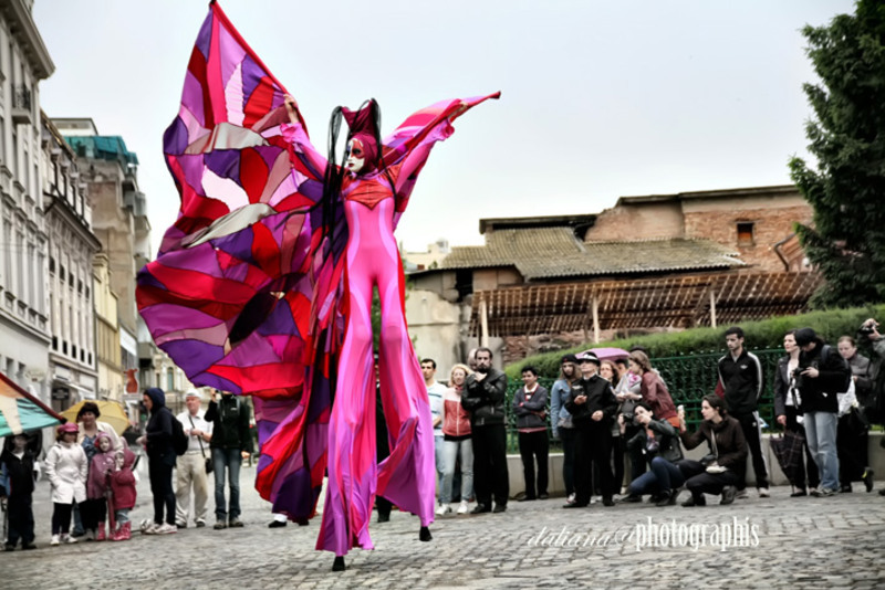 photographis-daliana-pacuraru-dd