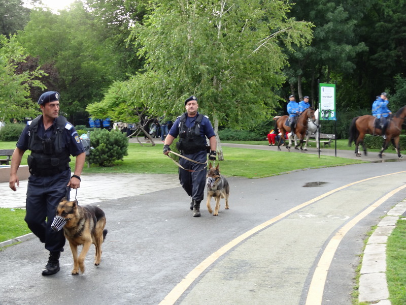 Zona Libera de Discriminare