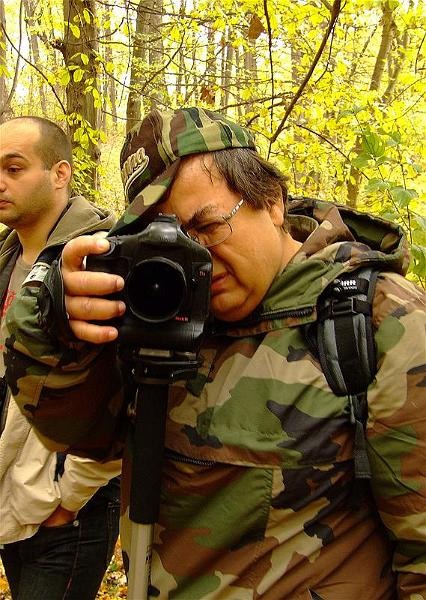 dinu-lazar-de-cristina-stoica