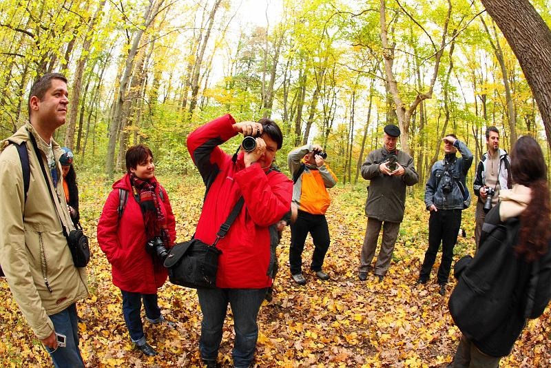 grup-de-dinu-lazar_02