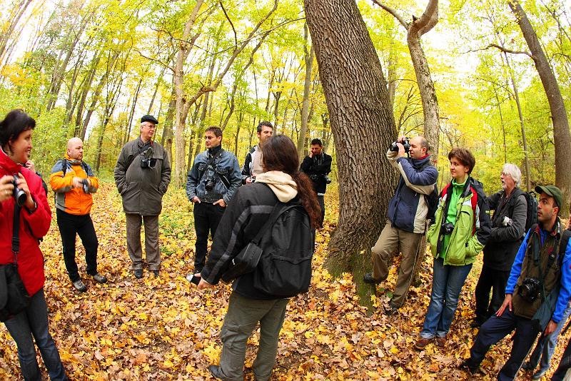 grup-de-dinu-lazar_03