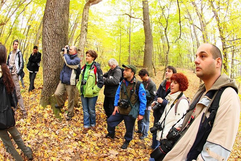 grup-de-dinu-lazar_04