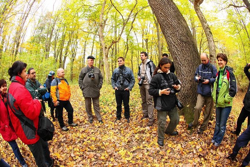 grup-de-dinu-lazar_05