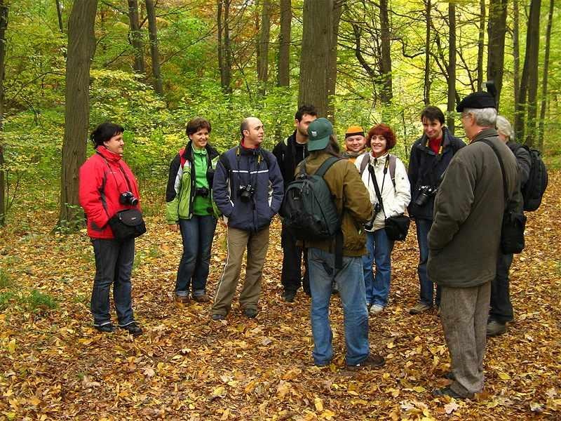 grup-de-florin-stoica_02