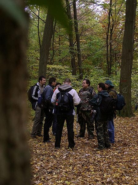 grup-de-mihaela-motaianu