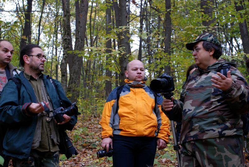 grup_de-cristin-dumitru