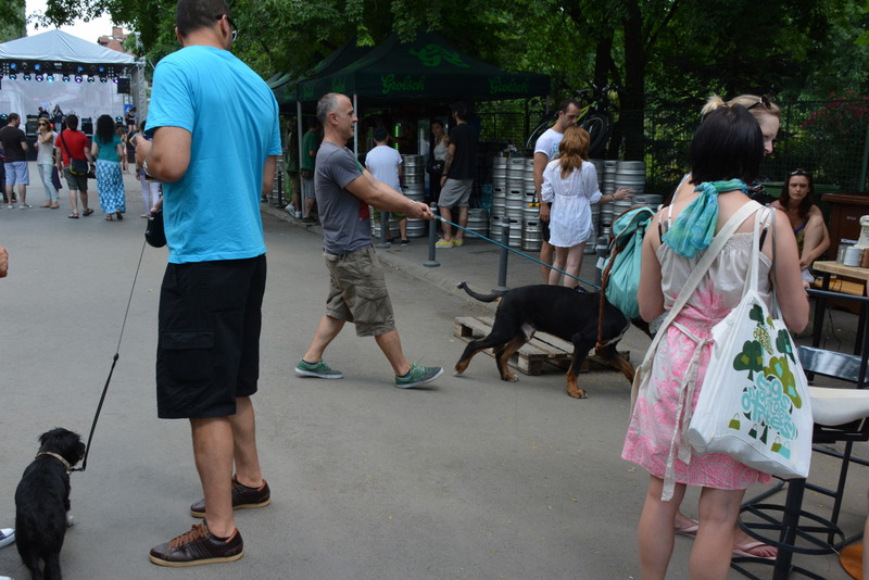 Street Delivery 2013