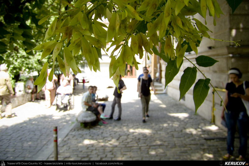 kerucov_2013_street_delivery_bucuresti_33