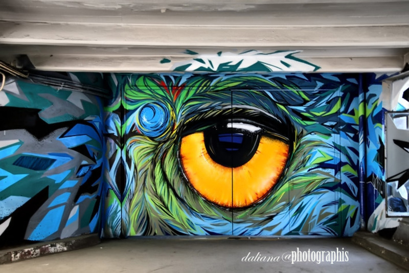 street-delivery-verona-ciclop-graffiti-daliana-photographis-36