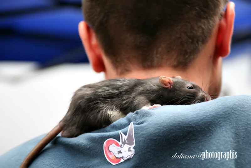 street-delivery-verona-ciclop-graffiti-daliana-photographis-3333