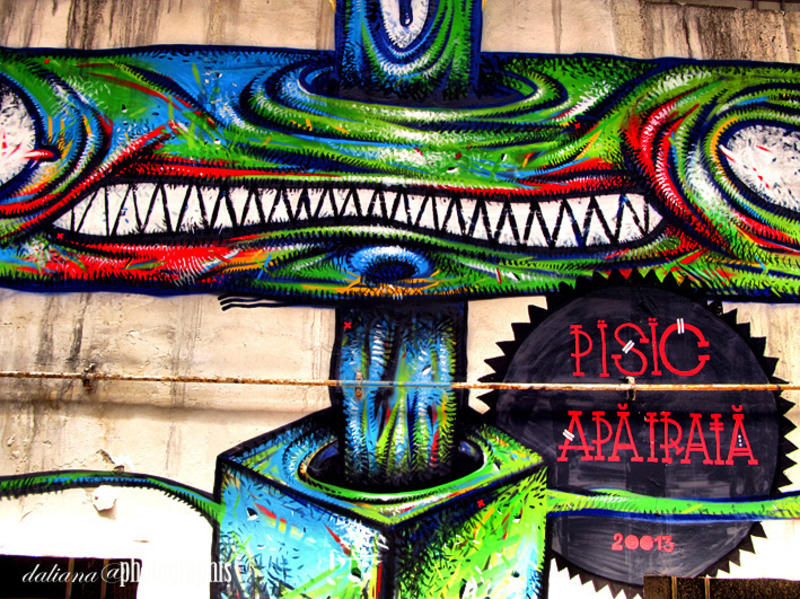 street-delivery-verona-ciclop-graffiti-daliana-photographis-95