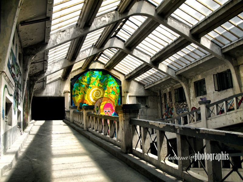 street-delivery-verona-ciclop-graffiti-daliana-photographis-96