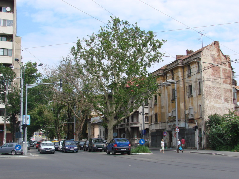 dsc05698_berzei_cal-plevnei