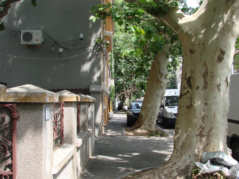 dsc05699_la-pas-pe-berzei