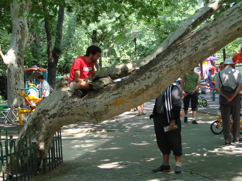 dsc05152_fotografii-sunt-poeste-tot