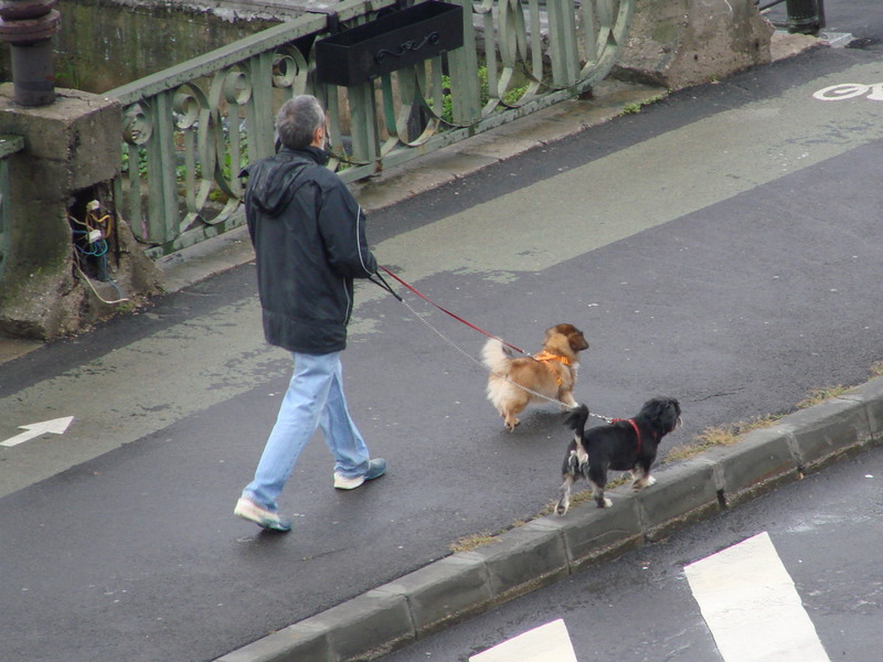 dsc05437_domnul-cu-cateii