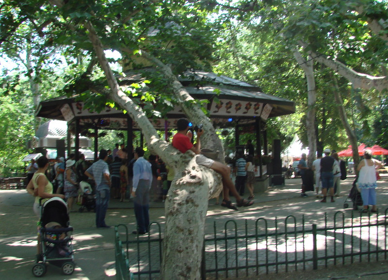 fotografii-peste-tot-la-inaltime