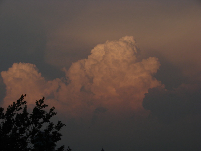 dsc05330_nori-de-furtuna