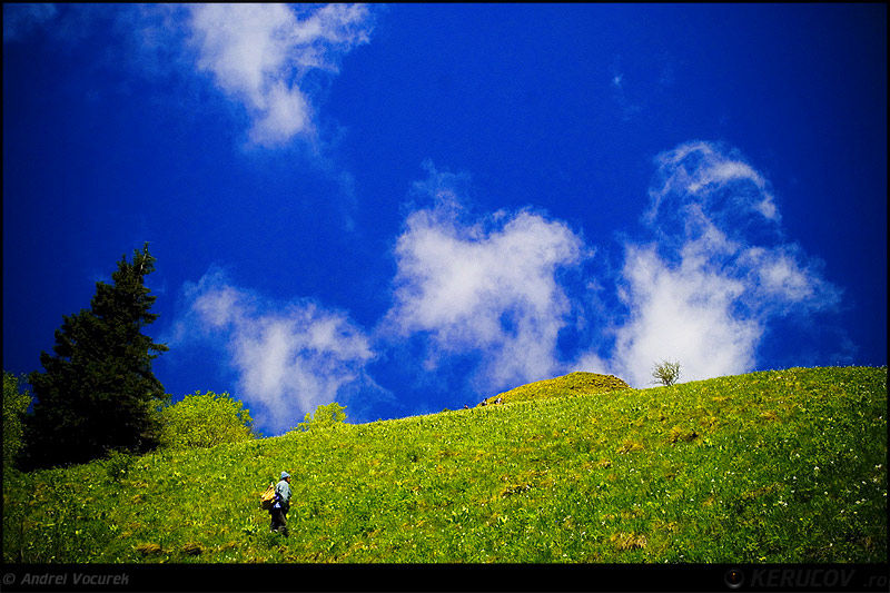 andrei_vocurek_kerucov_poiana_narciselor_03